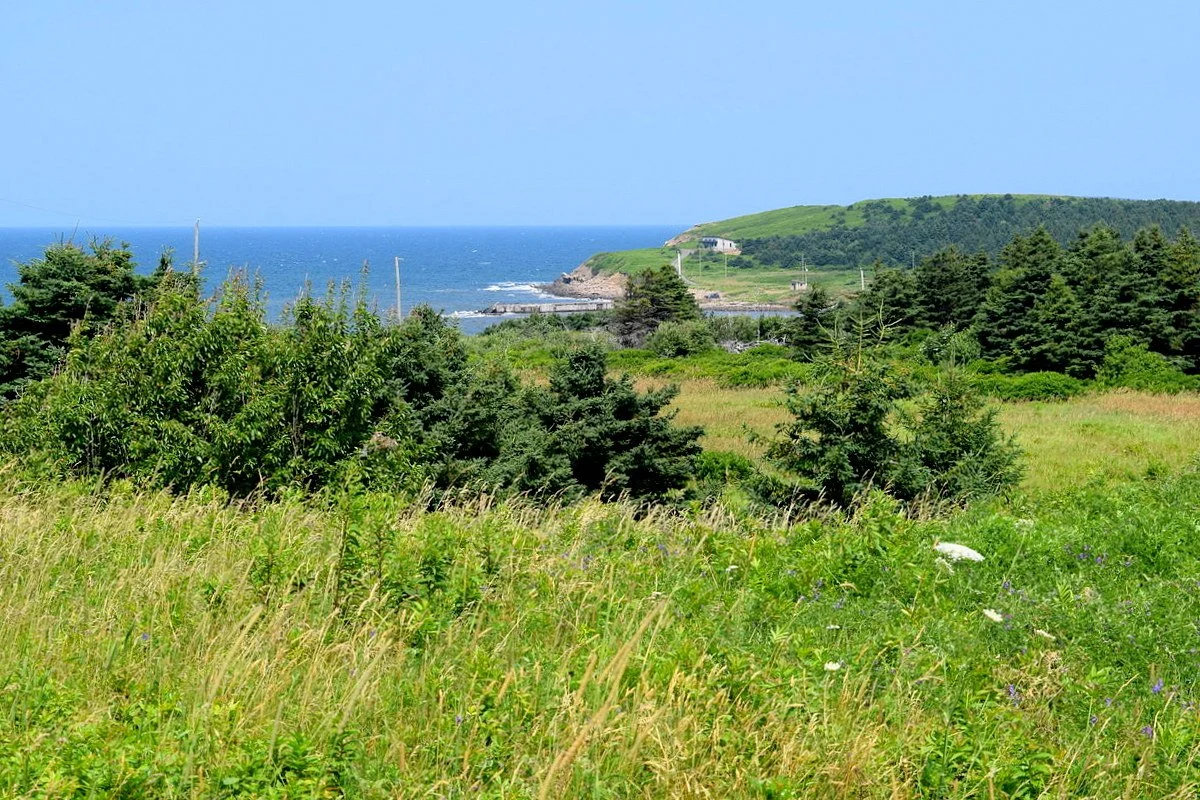 Broad Cove Marsh Road  7 acres ......... $315,000 + HST