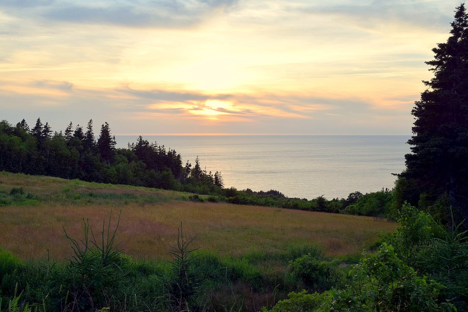 Oceanfront 14 acres, Banks Road, Inverness ...... $975,000
