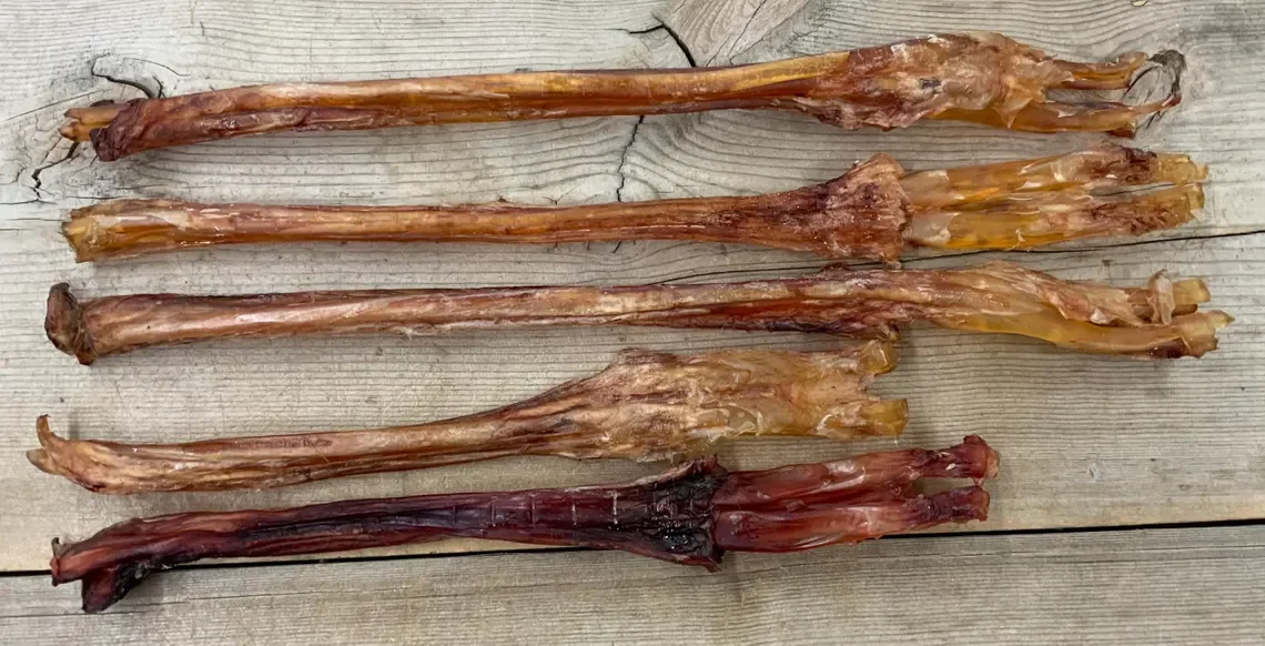 Deer Tendons