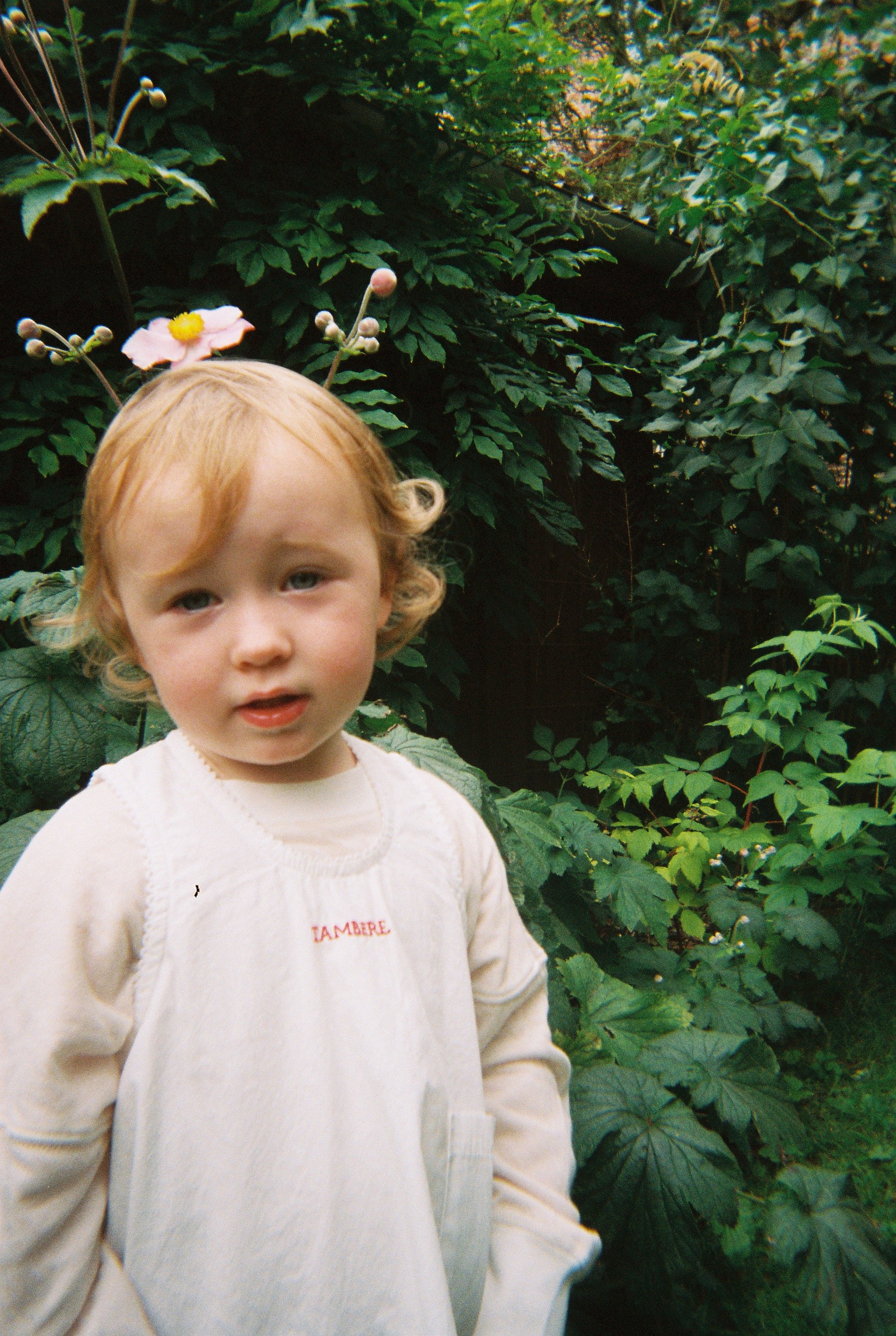 image00001 (36).jpeg