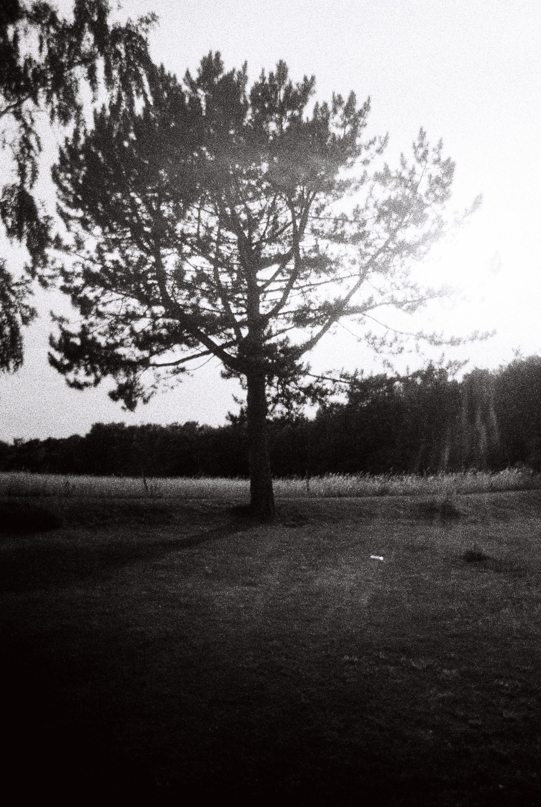 image00002 (18).jpeg