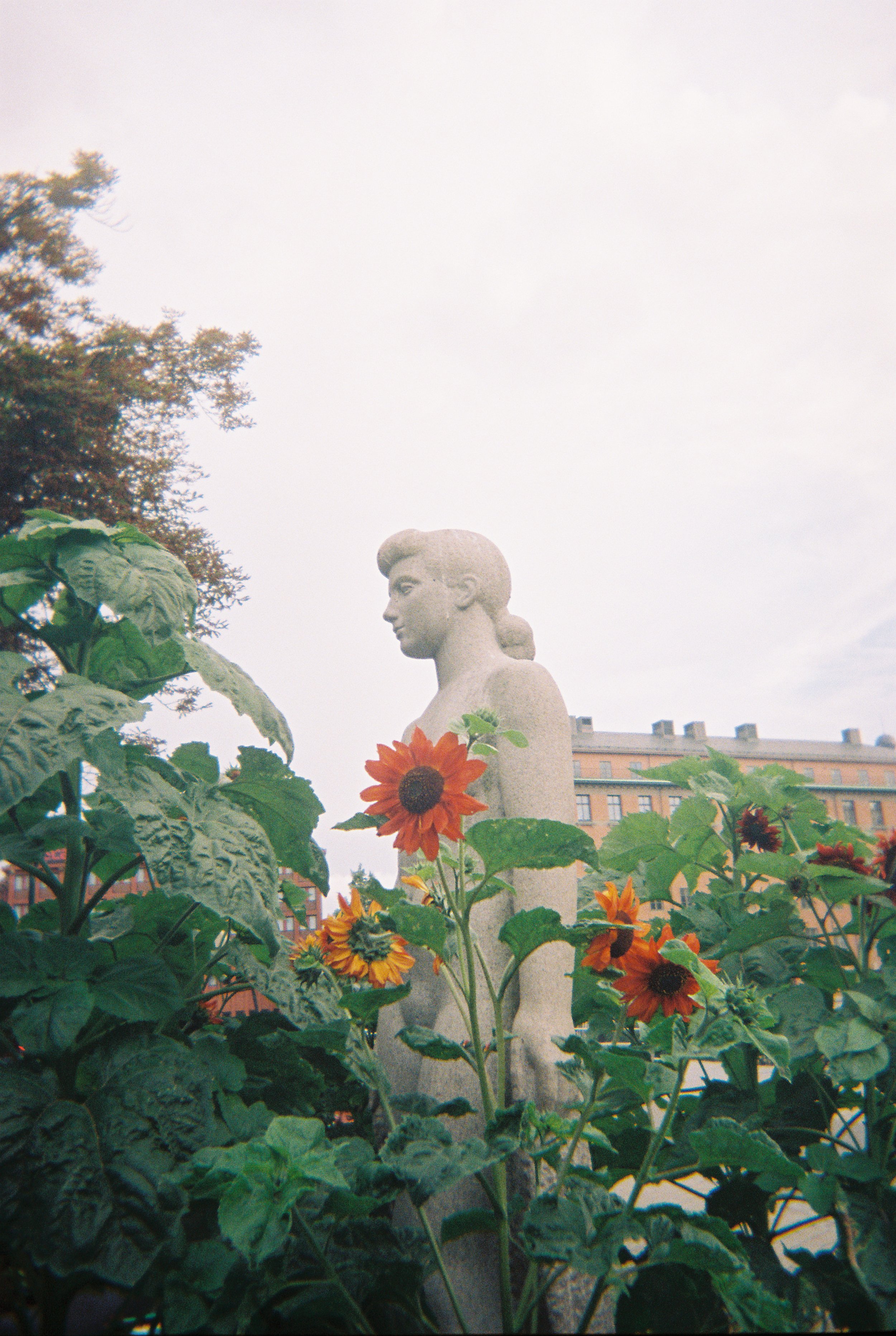 R1-07808-000A_0001.jpg