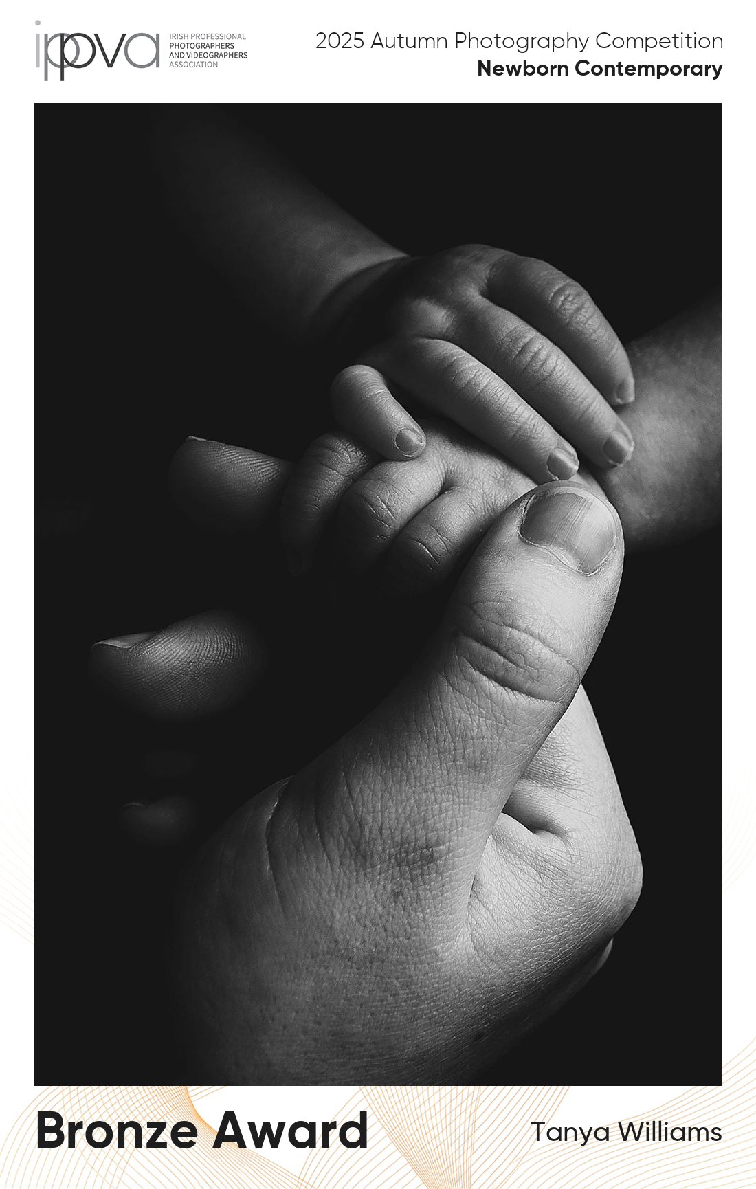 Award winning newborn photography photo close up of baby and fathers hands