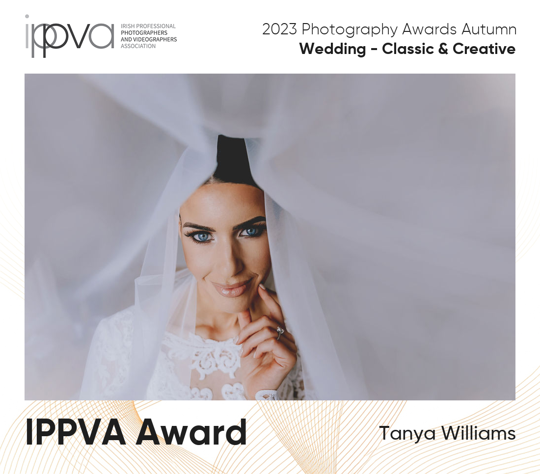 Award winning wedding photography photo  of the bride and veil.
