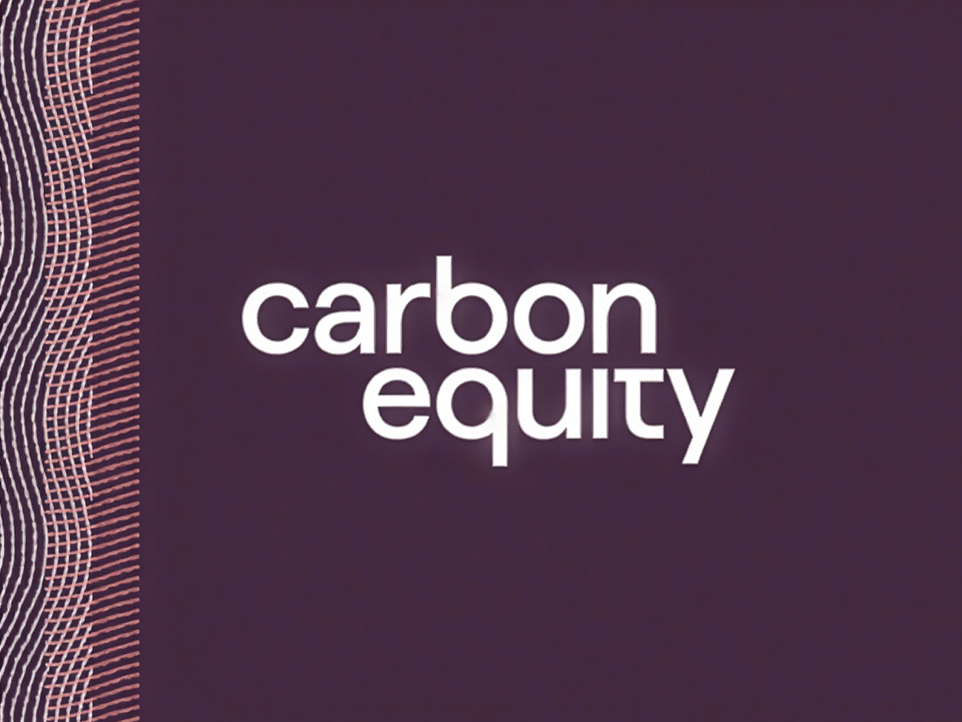 Carbon Equity: Strategy & Brand