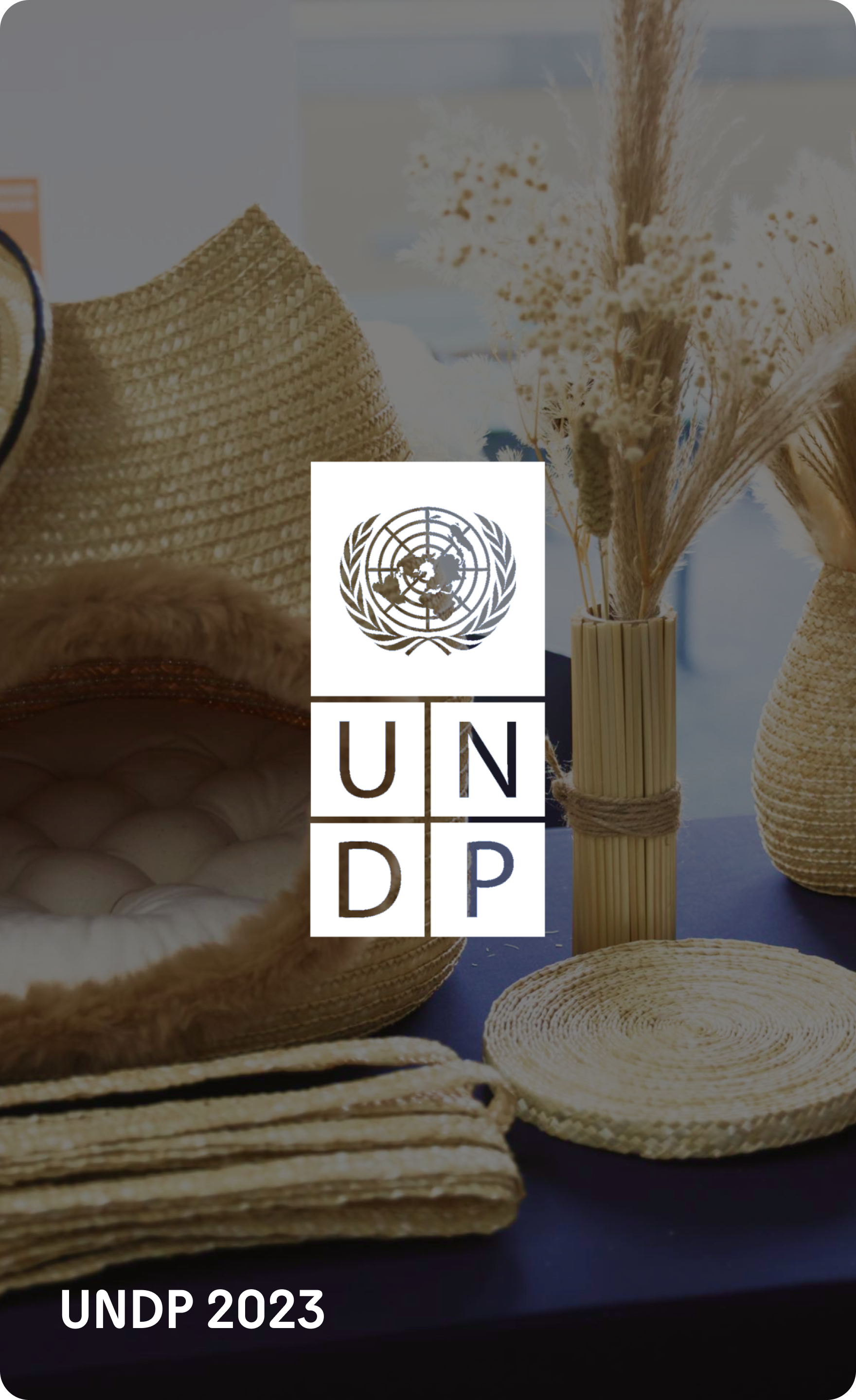 UNDP 2023