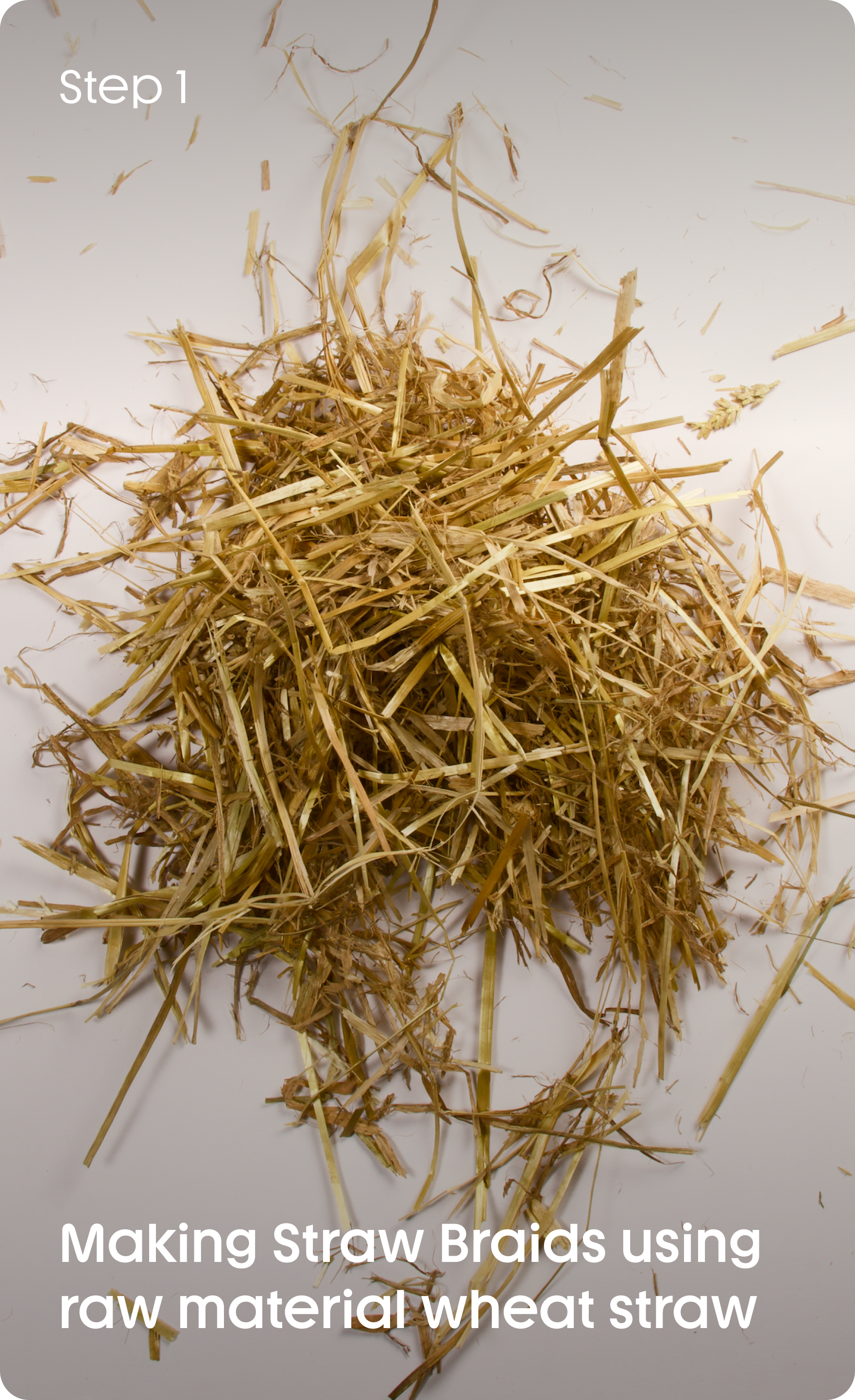 Frame 1430102885.png