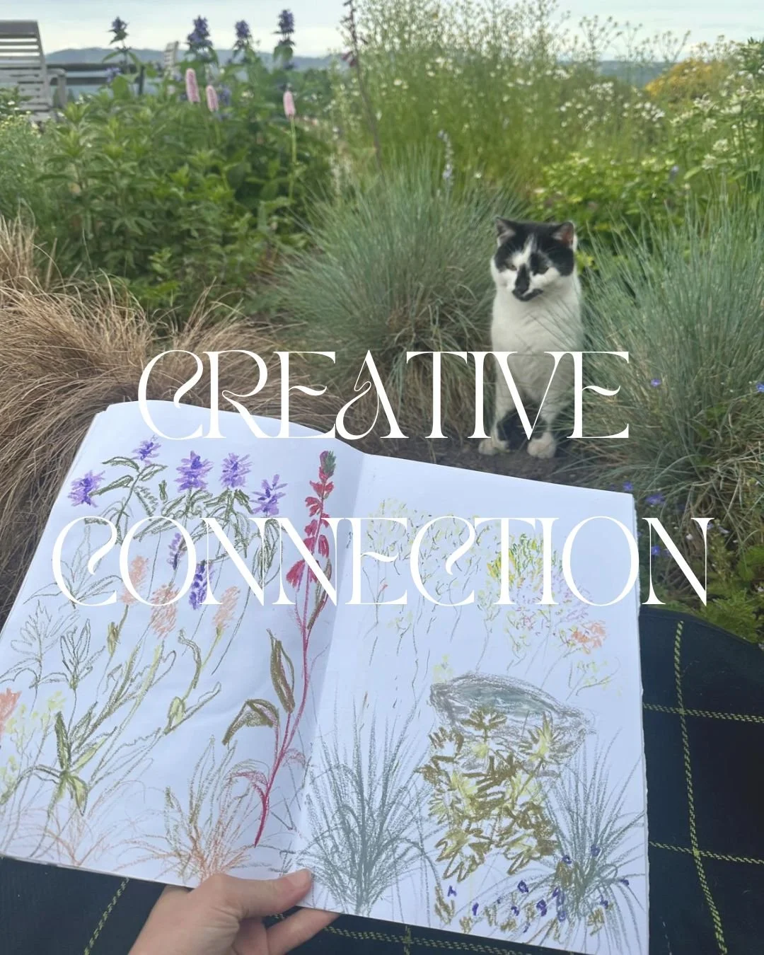 Creative Connection