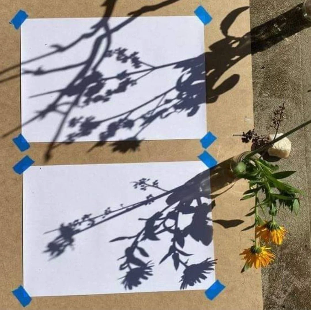 Creative Connection | Art-Making in Nature