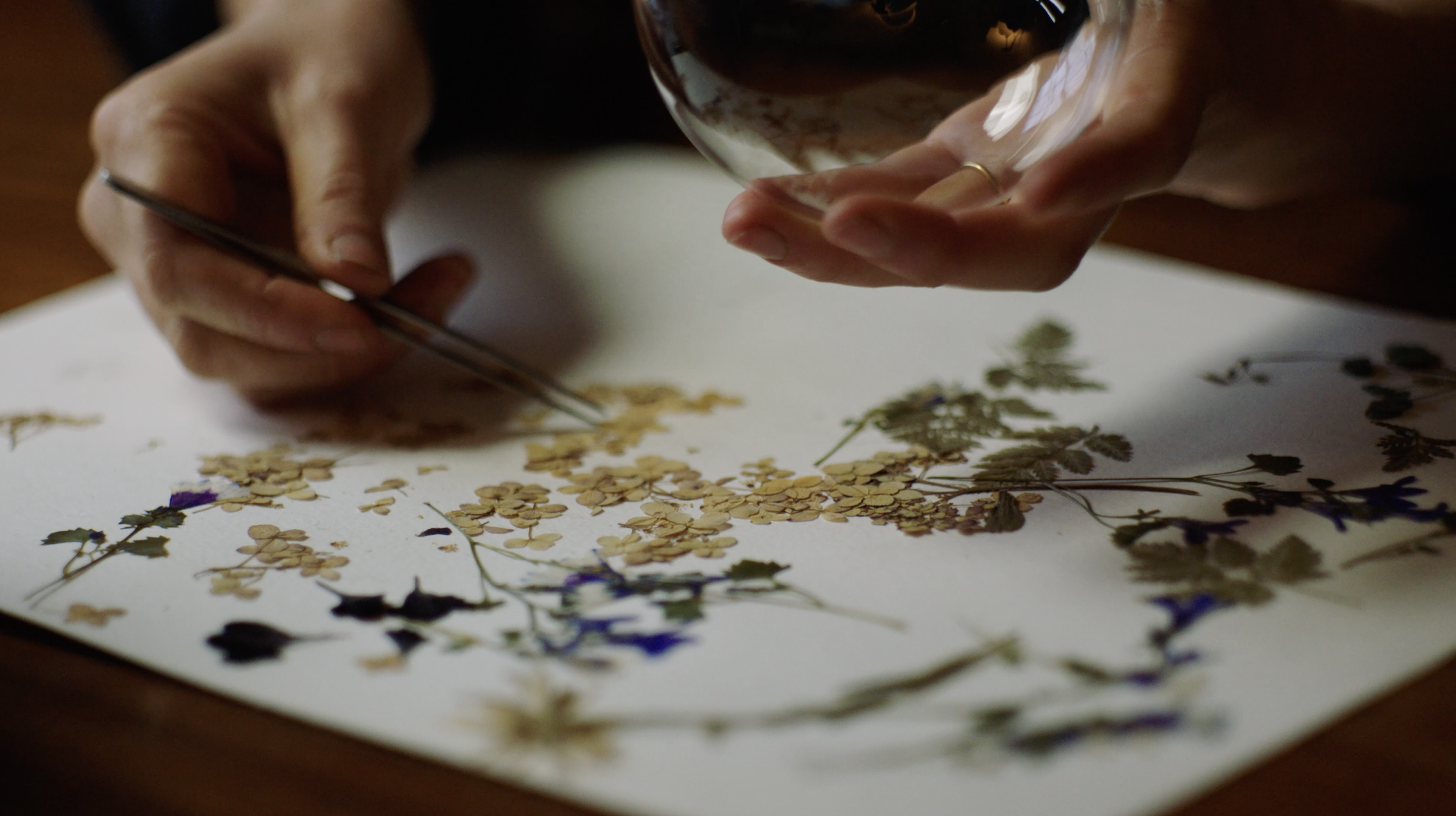 Screenshot 2026-01-07 at 10.33.08.png