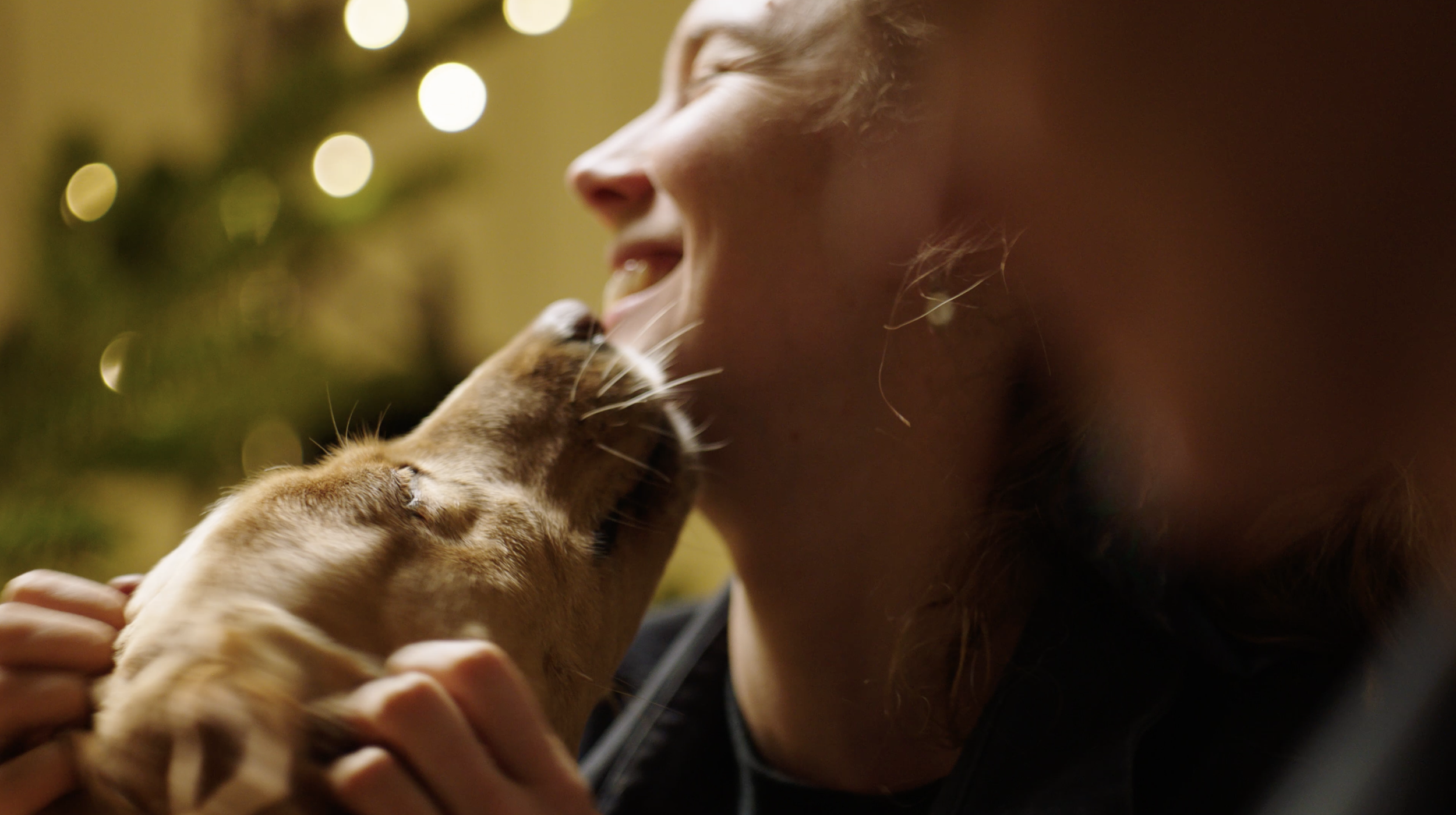 Screenshot 2026-01-07 at 10.35.11.png