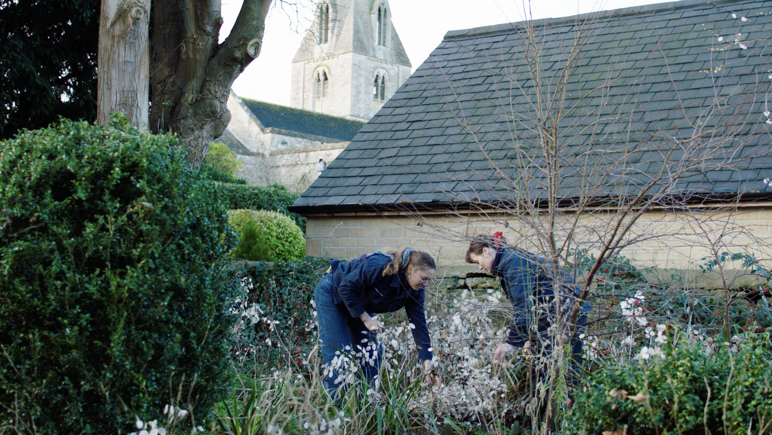 Screenshot 2026-01-07 at 10.31.18.png