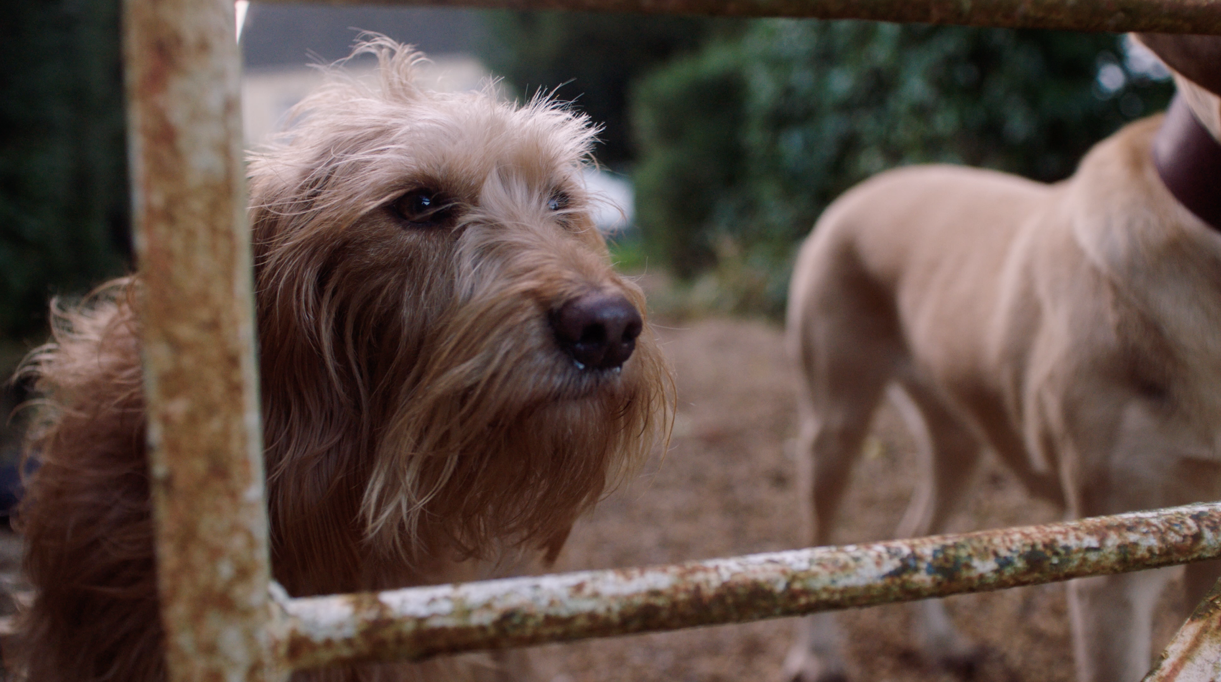 Screenshot 2026-01-07 at 10.30.36.png