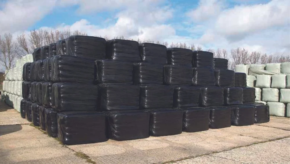 Stacked wrapped silage bales in black and pale green film on a farm yard