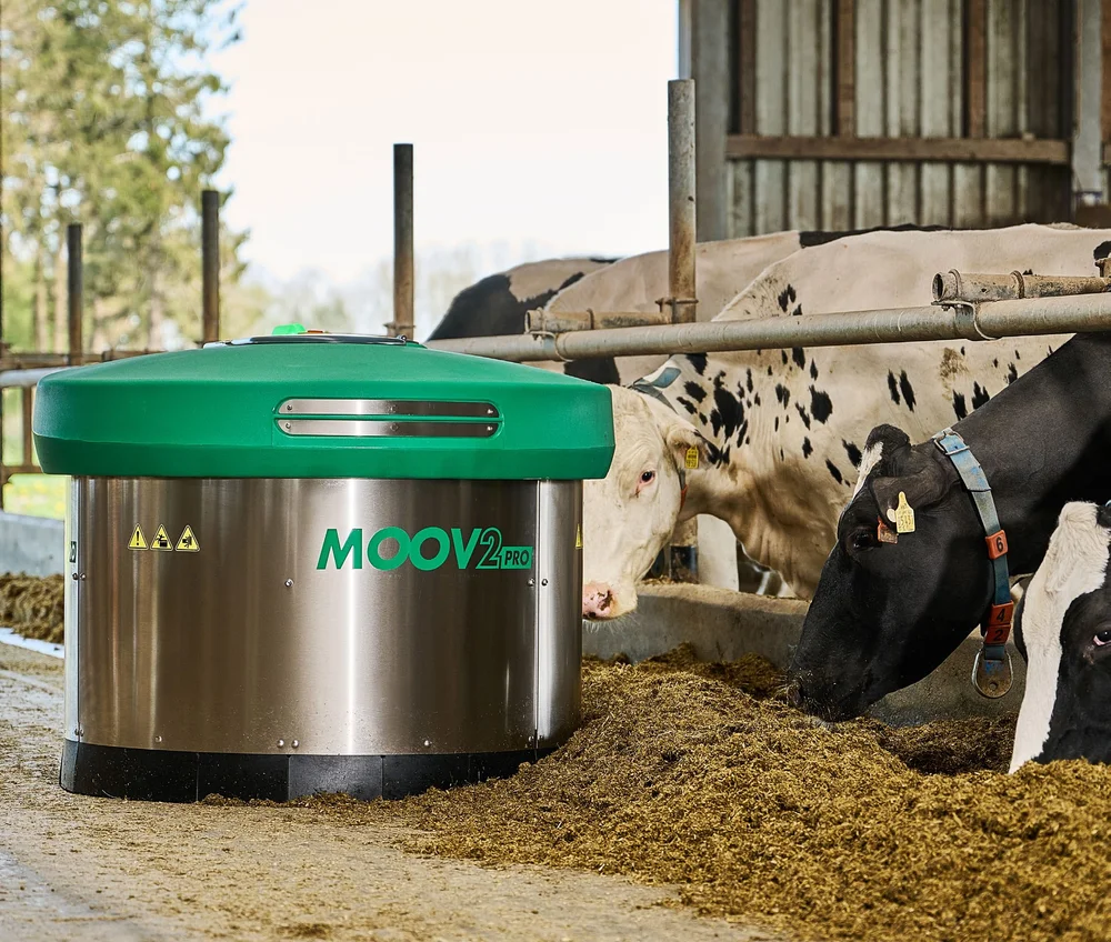 A JOZ Moov 2PRO feed pusher working along a feed fence while Holstein cows eat the silage it has just pushed back within reach