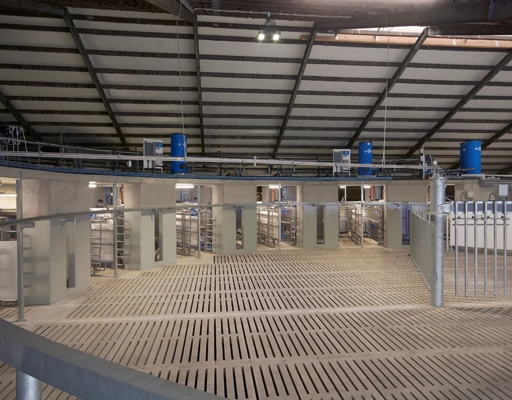 Inside a Merlin Meridian installation, the robot bays set around a curved central waiting area with the floor slats laid to the circle