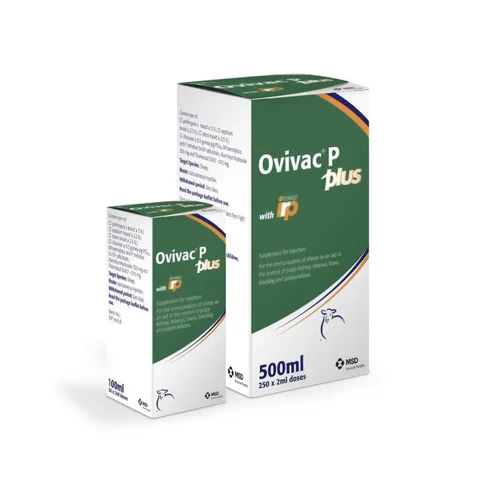 Ovivac P Plus vaccine for sheep