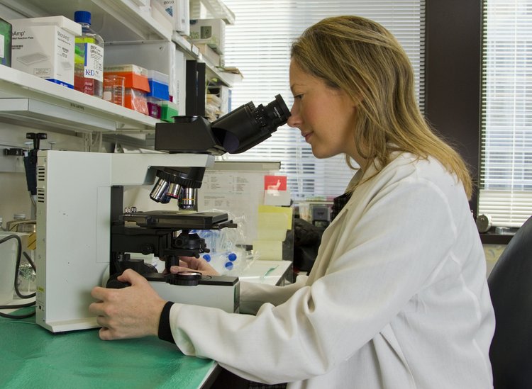 Laboratory technician examining a sample under a microscope