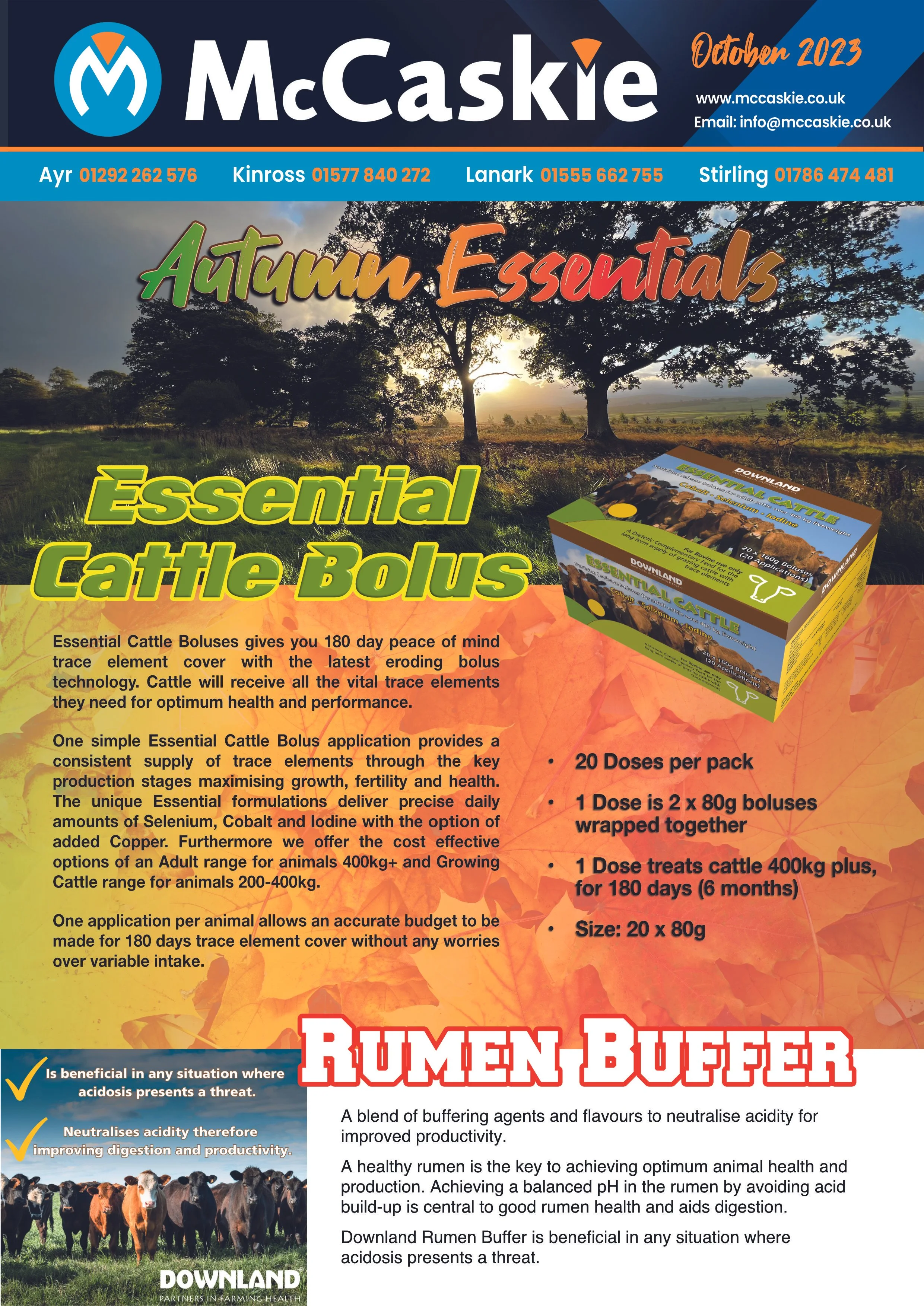 October Newsletter 2023