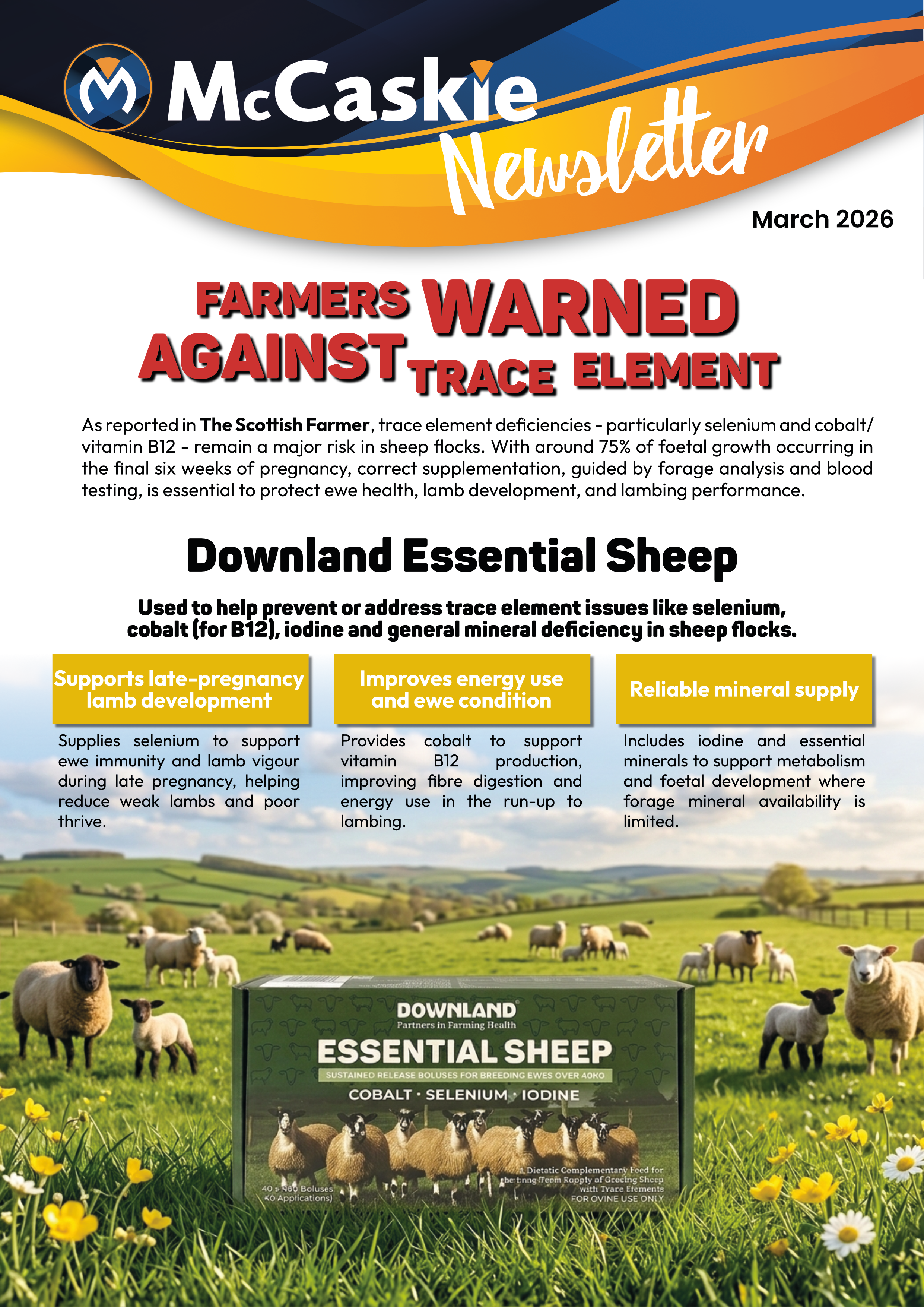 McCaskie Monthly Newsletter March 2026