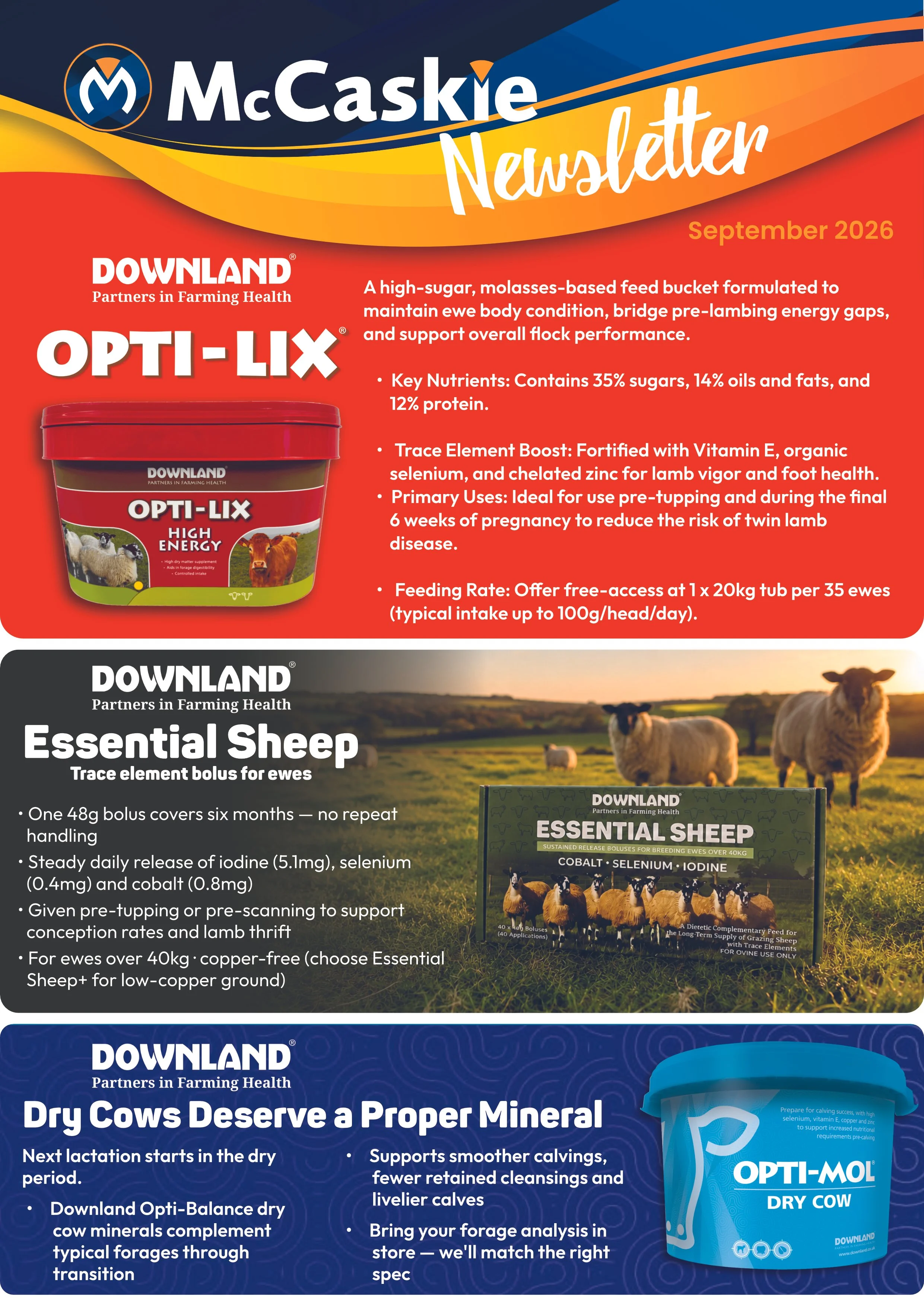 McCaskie Monthly Newsletter September 2026