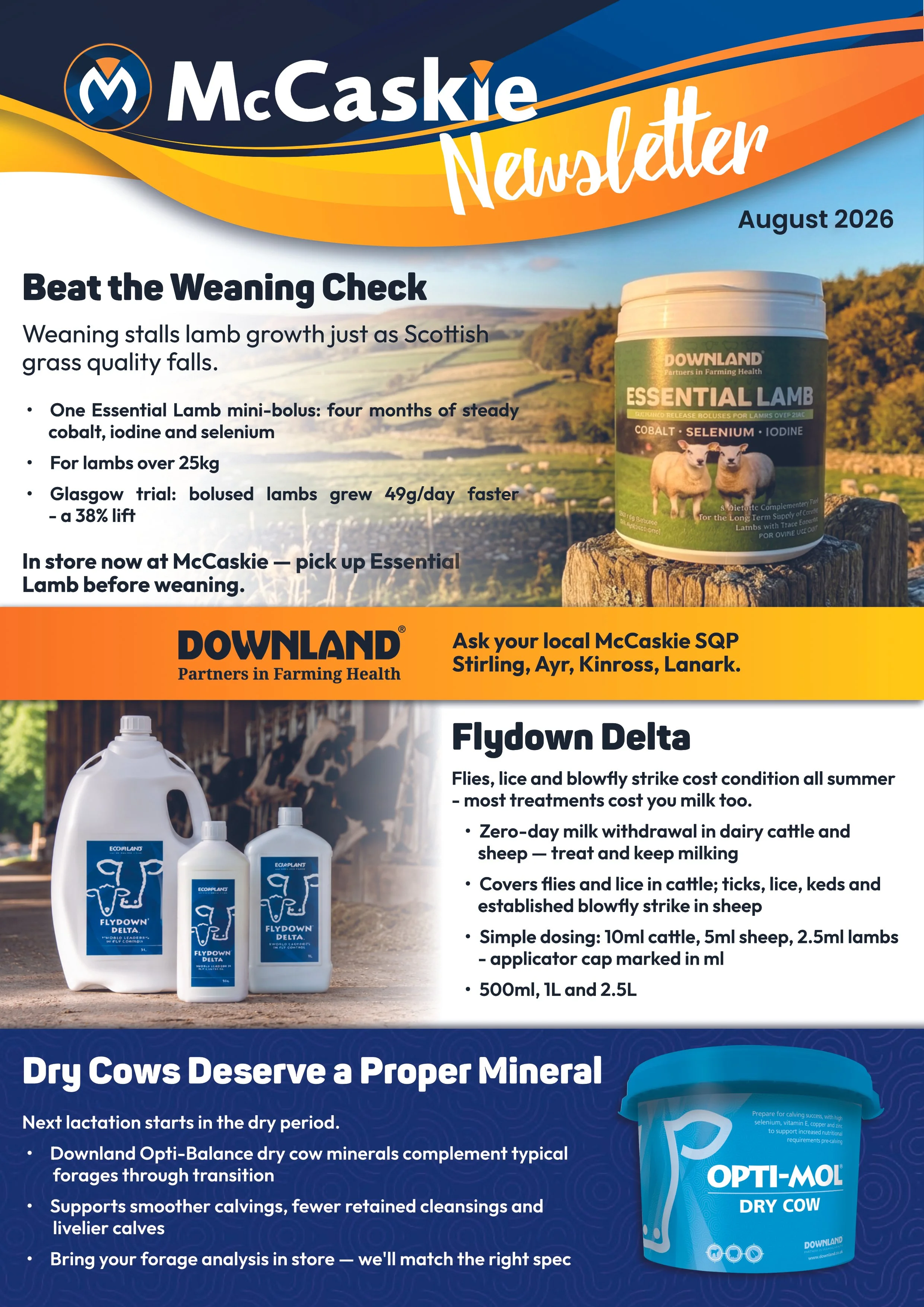 McCaskie Monthly Newsletter August 2026