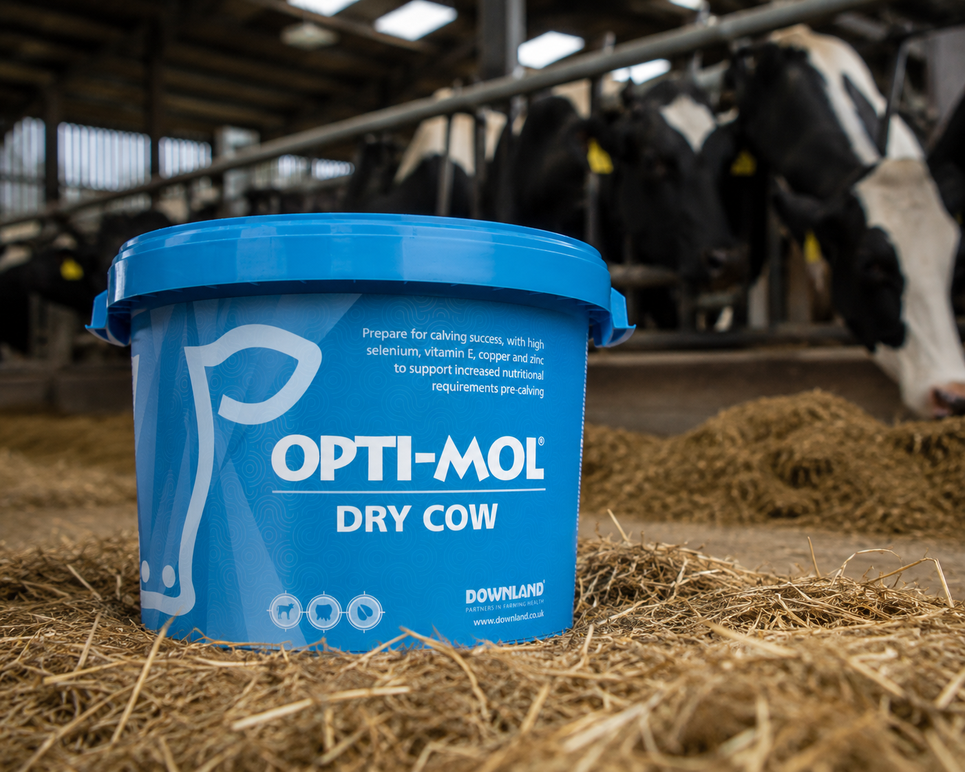 The Silage You Made In May Decides How Many Cows Go Down In November</span>