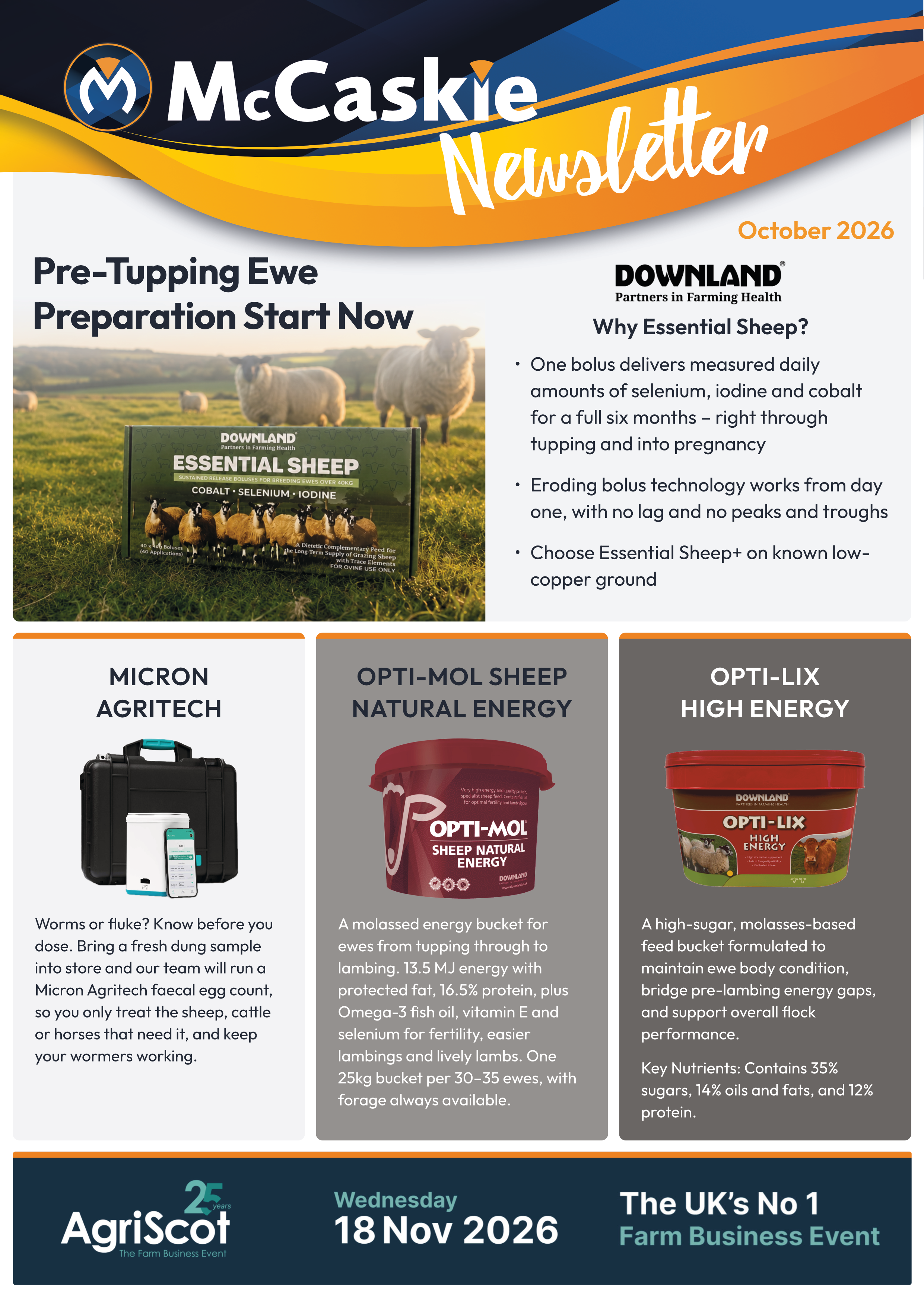 McCaskie Monthly Newsletter October 2026