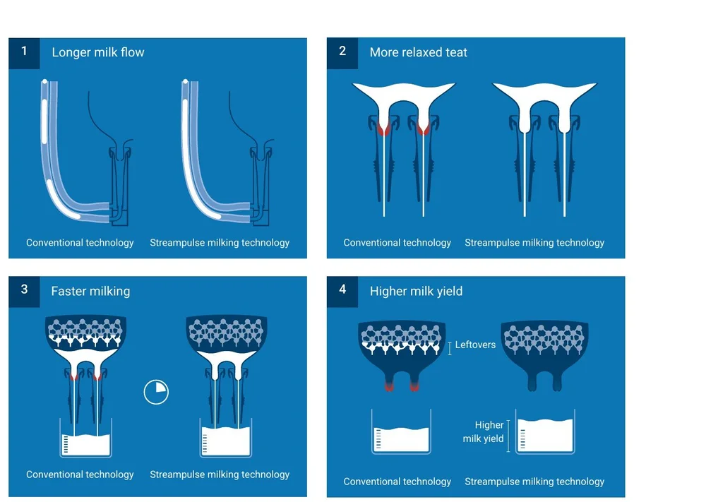 Four diagrams comparing conventional milking with Streampulse: longer milk flow, a more relaxed teat, faster milking and a higher yield