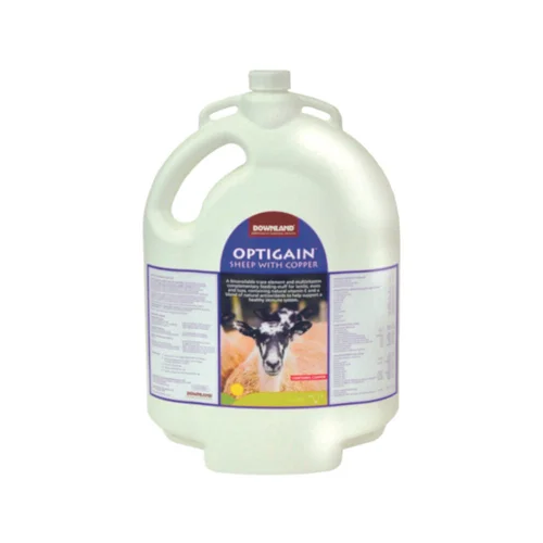 Downland Optigain Sheep with copper bucket