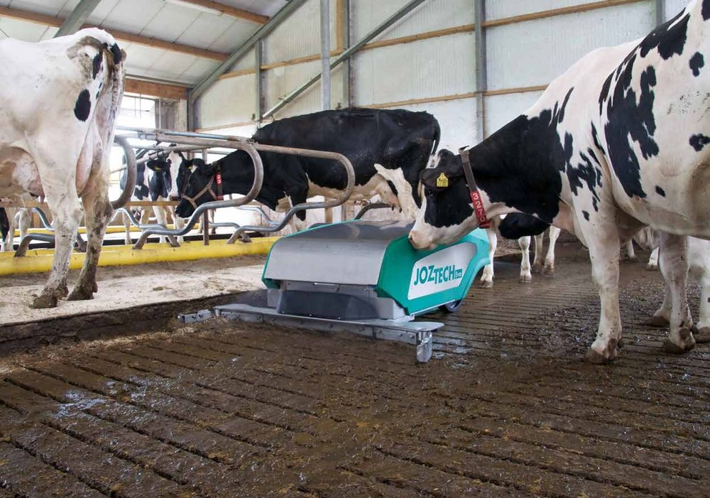 A JOZ-Tech JT200 EVO manure robot working along a slatted passage between two rows of Holstein cows in a cubicle shed