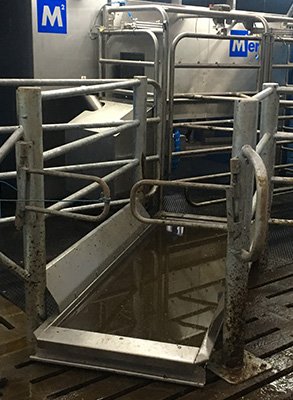 A Hoofcount footbath at the exit of a Fullwood Merlin milking robot, the robot's gates behind it