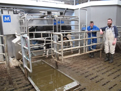 Brian Weatherup and son, also Brian, of Parkend Farm beside one of their Fullwood Merlin robots, with a cow in the milking box