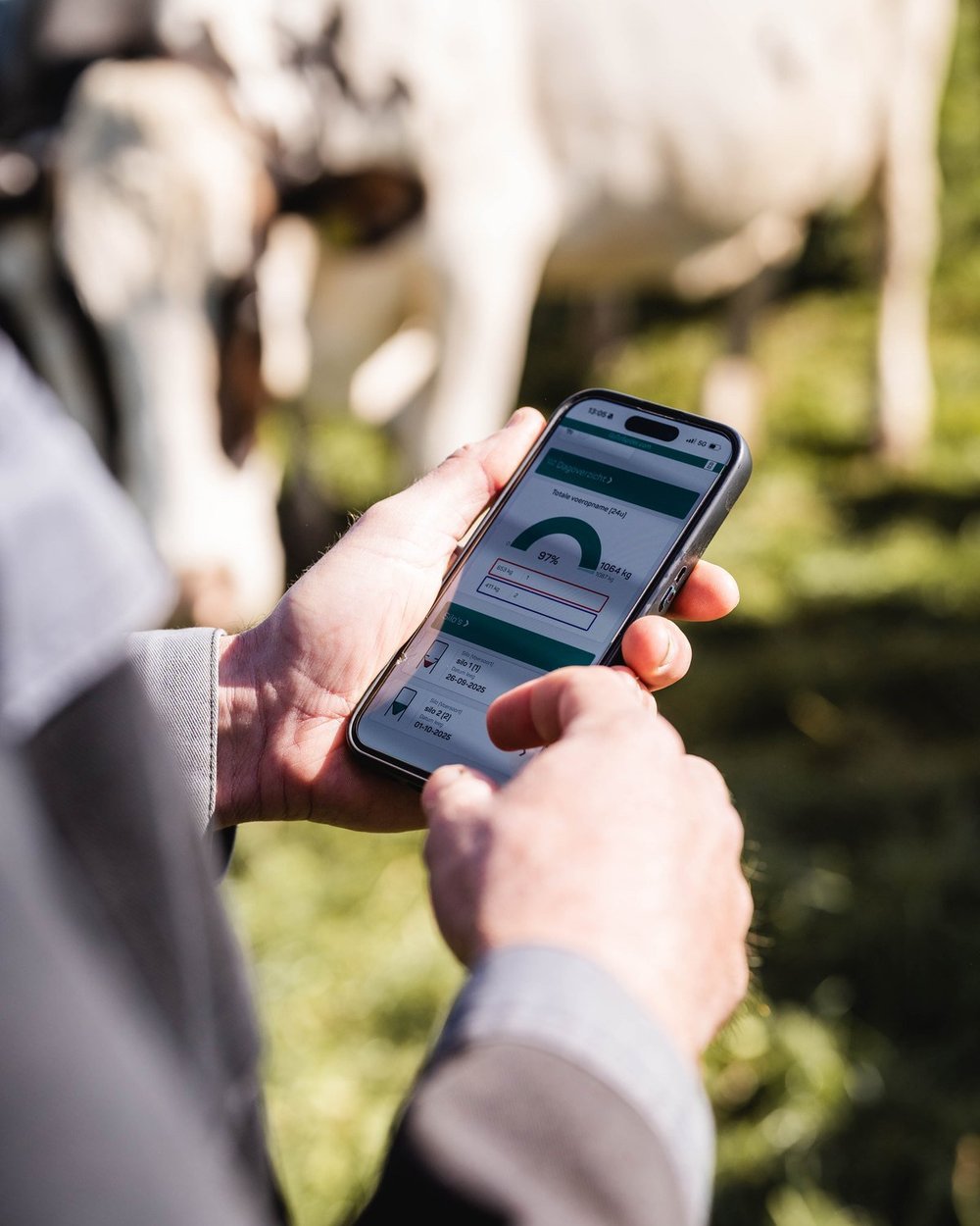 Checking individual cow feed allocations on a phone beside the Hanskamp FeedStation Mobile