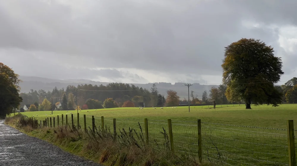 A single-track farm road near Braco in Perthshire, sheep grazing beyond the fence