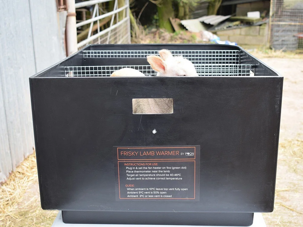 A Frisky lamb warmer standing outdoors in a yard with the mesh lid closed