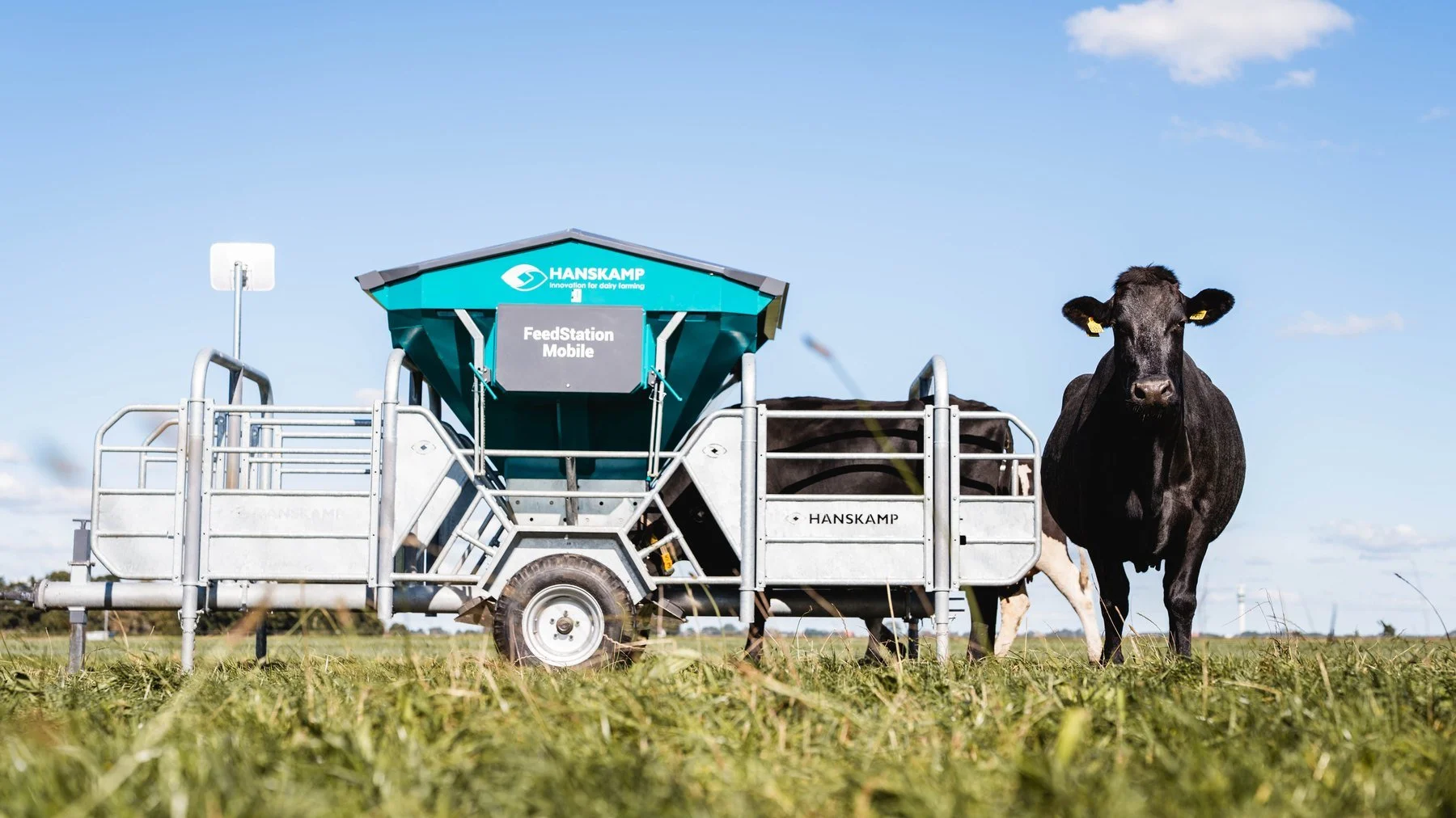 Hanskamp FeedStation Mobile out-of-parlour feeder in a grass paddock with a Holstein dairy cow