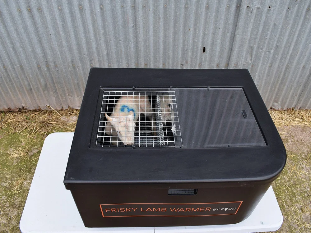 A closed Frisky lamb warmer standing outdoors on a table
