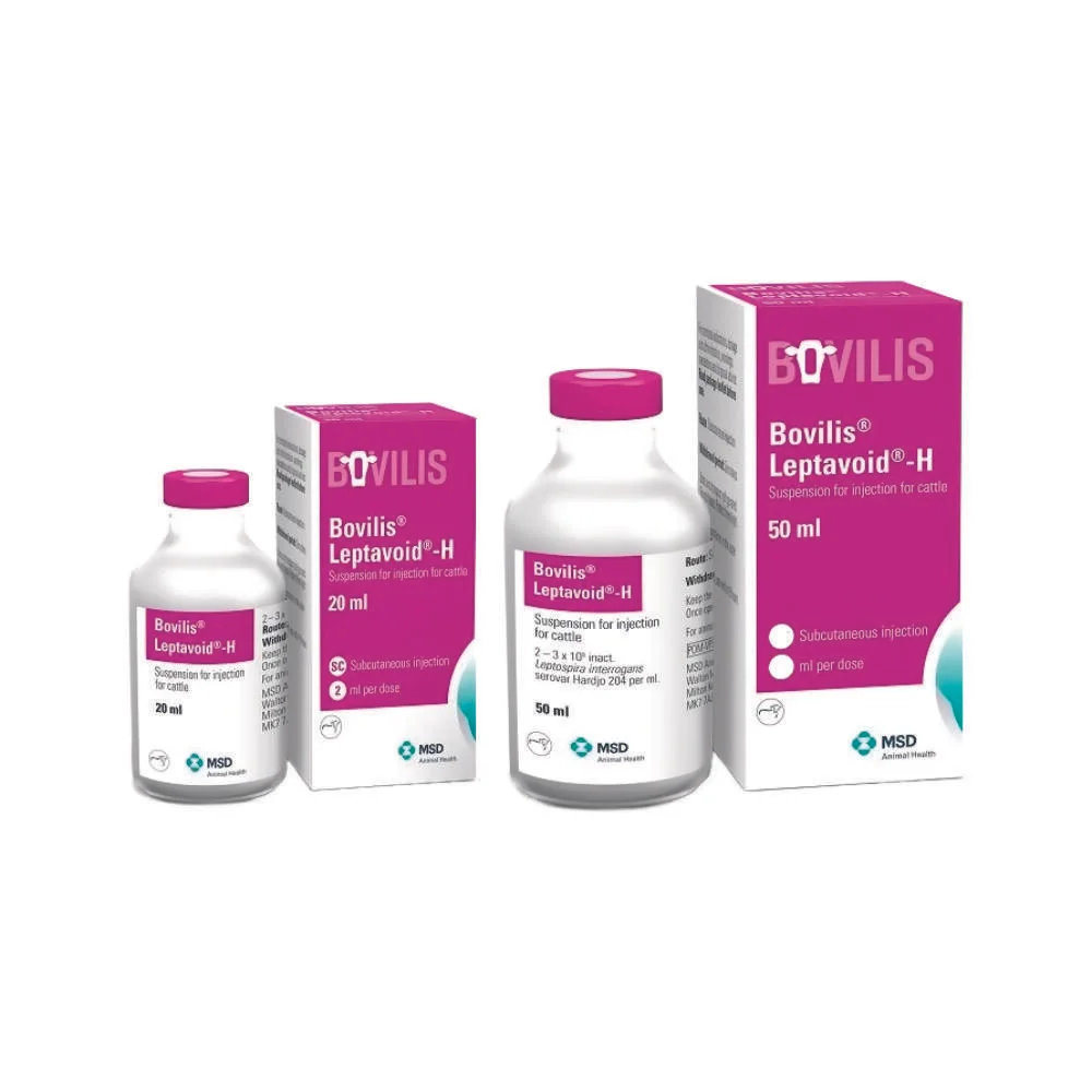 Picture shows a bottle of the product Bovilis® Leptavoid®-H Suspension for injection for cattle