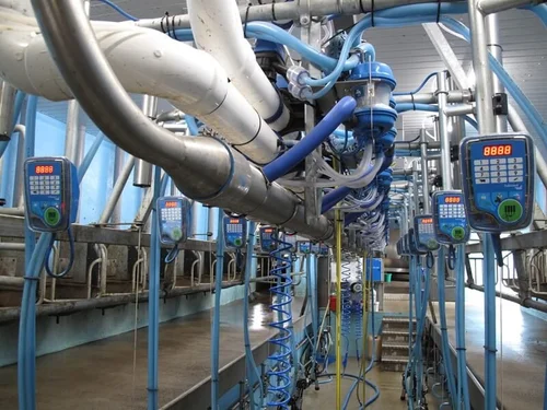 Looking up the parlour from the pit: the overhead lines and a keypad at every stall on both sides