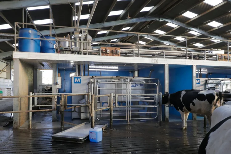 Fullwood Merlin robotic milking system installed by McCaskie engineers