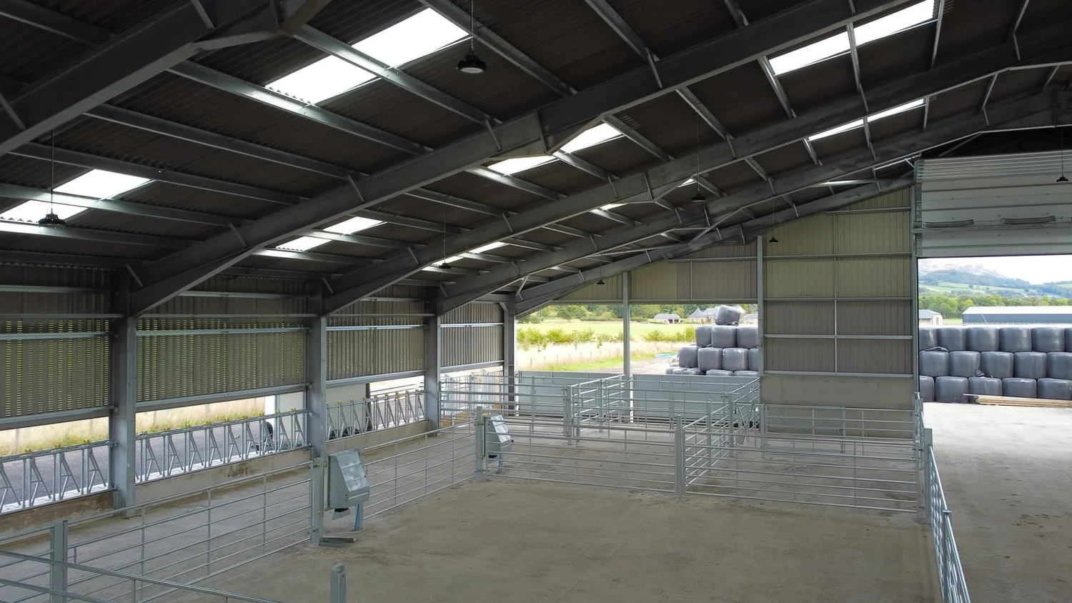 Galvanised penning and gates inside a new steel-framed livestock shed, the kind of handling area a trimming crush is set up in