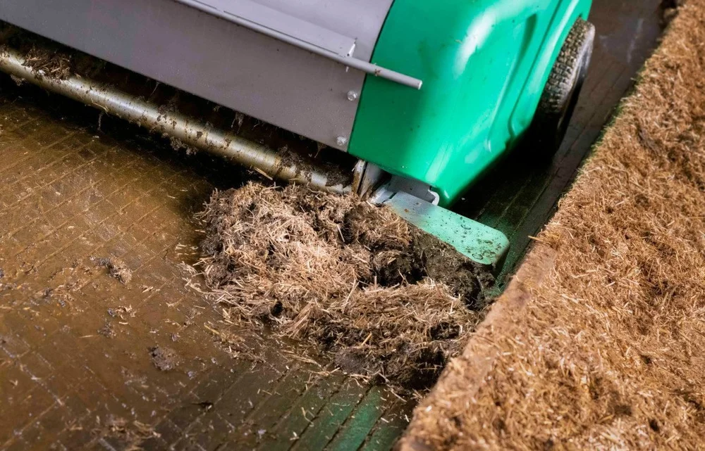 The intake of a green JOZ Barn-E manure robot lifting manure off a solid barn floor beside a cubicle bed