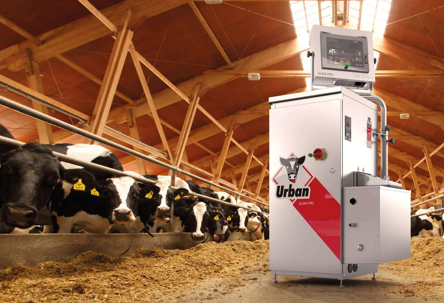 An Urban Alma Pro automatic feeder with a touchscreen, standing in a timber-framed barn with dairy cows feeding at a barrier behind it