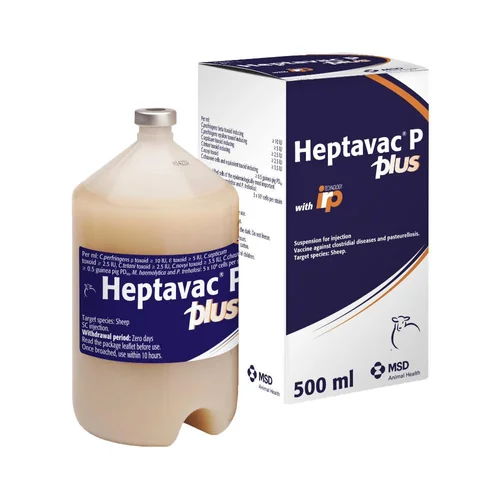 Heptavac P Plus clostridial and pasteurella vaccine for sheep