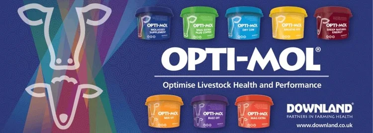 Downland Opti-Mol banner reading Optimise Livestock Health and Performance, with the bucket range