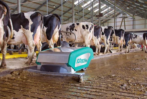 JOZ slurry robot cleaning a barn floor