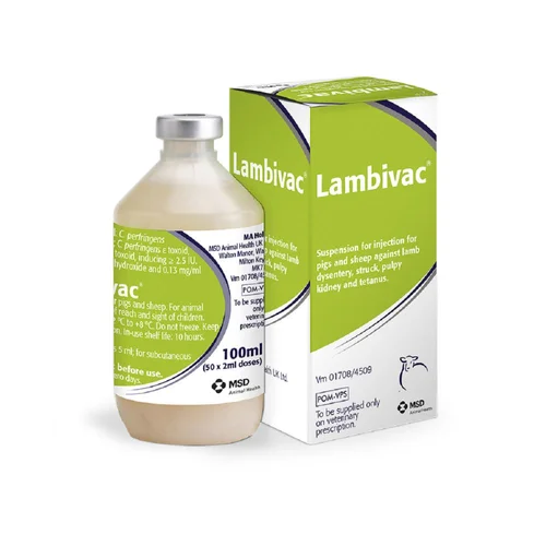 Lambivac vaccine for lambs