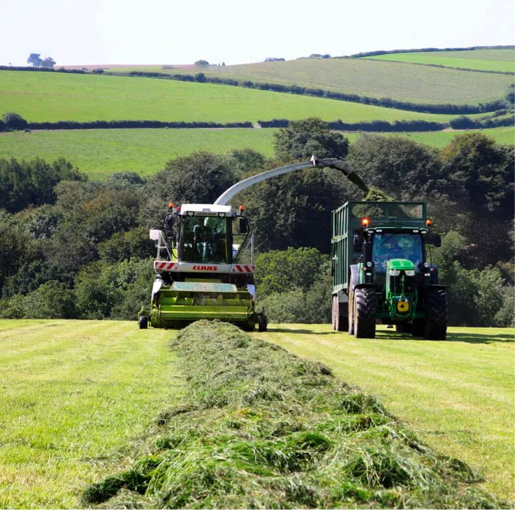 A tractor working at silage