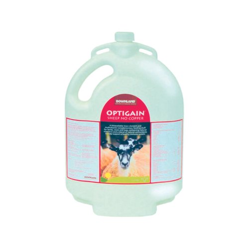 Downland Optigain Sheep without copper bucket